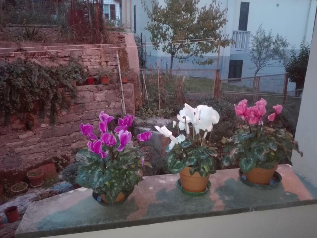 Il Borgo Antico Apartamento La Spezia Exterior foto